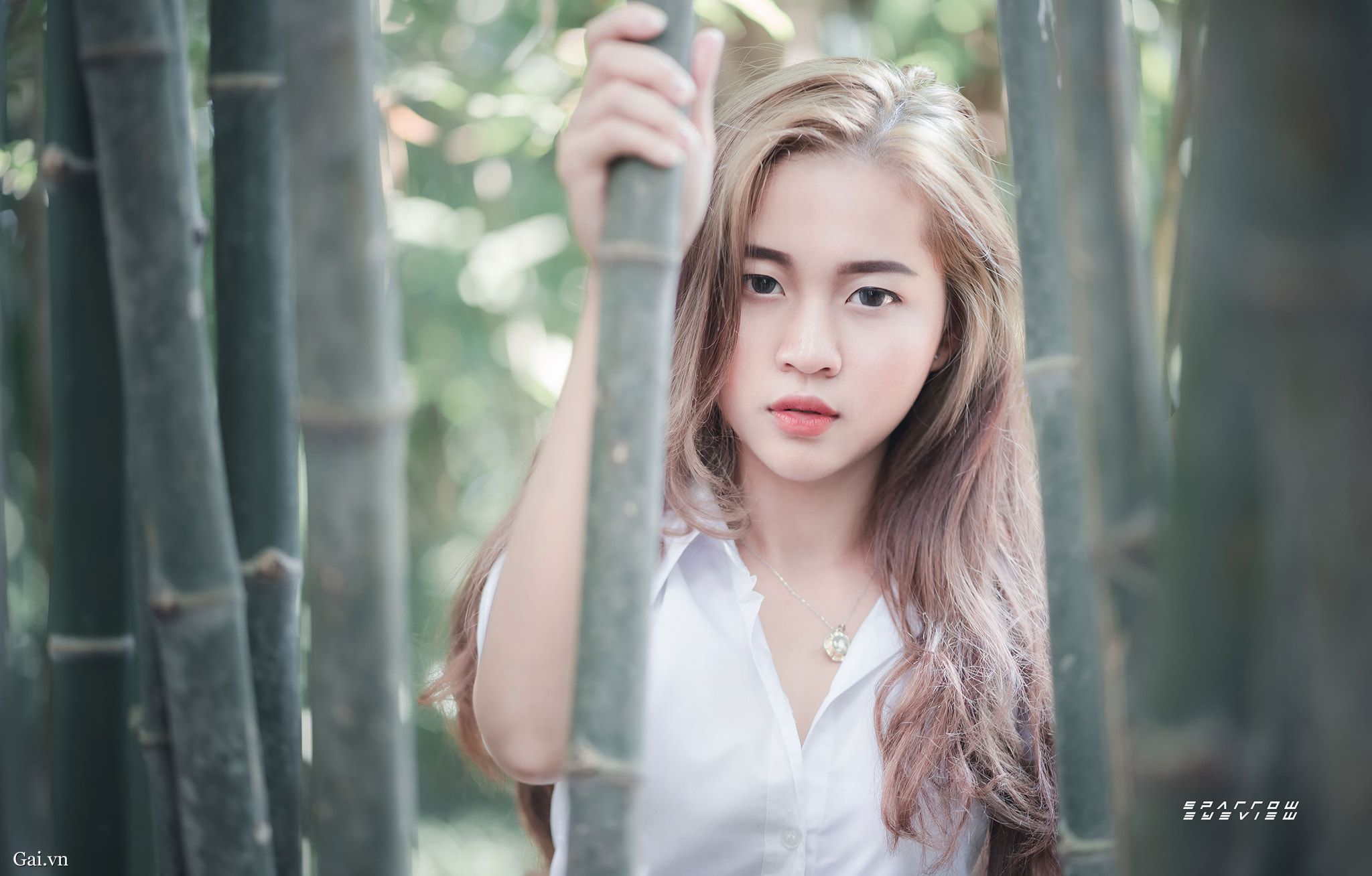 od平台入口v52.92.9.8 官方正式版 0